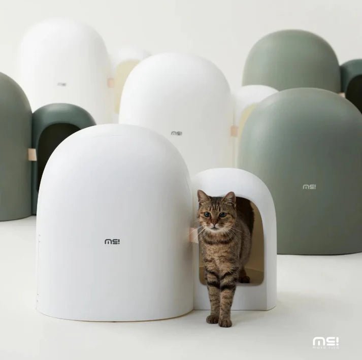 Makesure Cat Litter Box MAX - Chokyo Pet