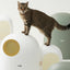 Makesure Cat Litter Box MAX - Chokyo Pet