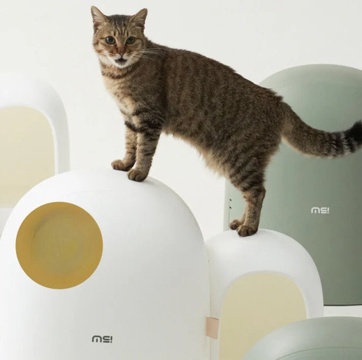 Makesure Cat Litter Box MAX - Chokyo Pet