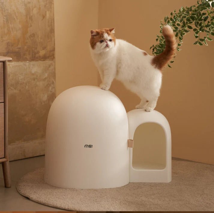 Makesure Cat Litter Box MAX - Chokyo Pet