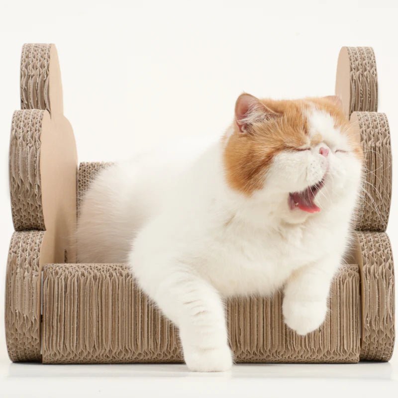 Makesure FAFA Scratching Sleep Box-Flower Shape Bed - Chokyo Pet