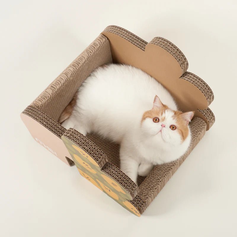 Makesure FAFA Scratching Sleep Box-Flower Shape Bed - Chokyo Pet
