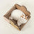 Makesure FAFA Scratching Sleep Box-Flower Shape Bed - Chokyo Pet