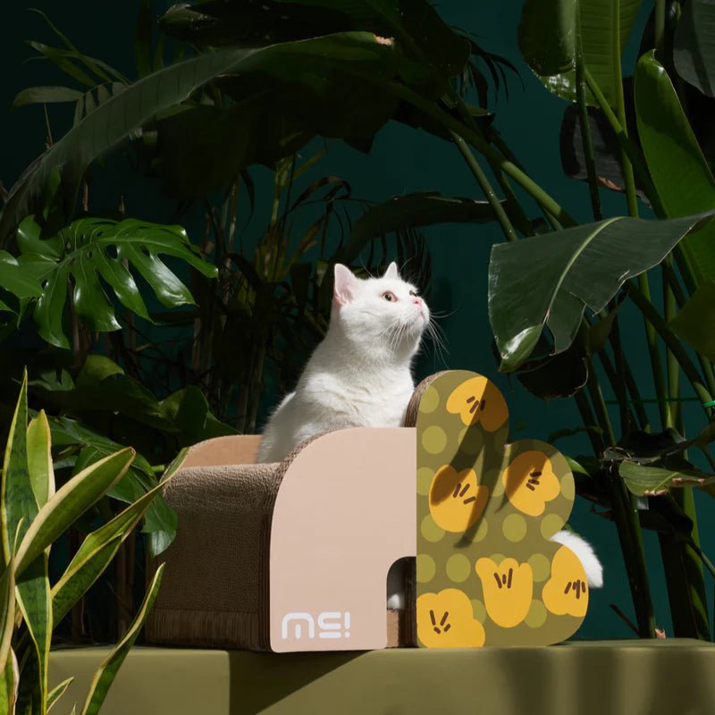 Makesure FAFA Scratching Sleep Box-Flower Shape Bed - Chokyo Pet