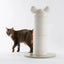 Makesure Nino Cat Scratching Post - Chokyo Pet