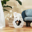 Makesure WOWO Cat Scratching Board Bed - Chokyo Pet
