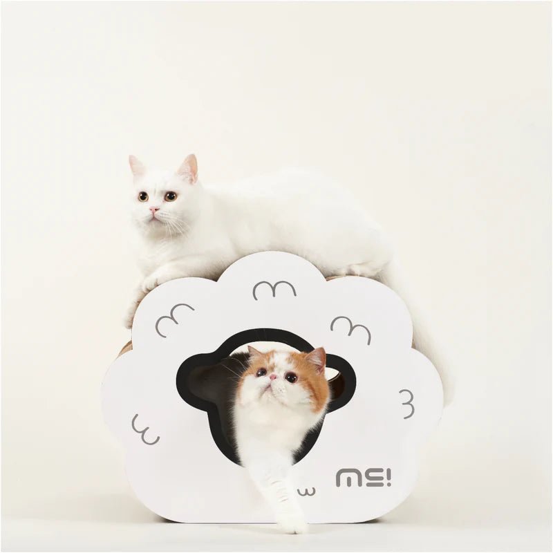 Makesure WOWO Cat Scratching Board Bed - Chokyo Pet