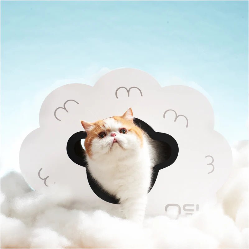 Makesure WOWO Cat Scratching Board Bed - Chokyo Pet
