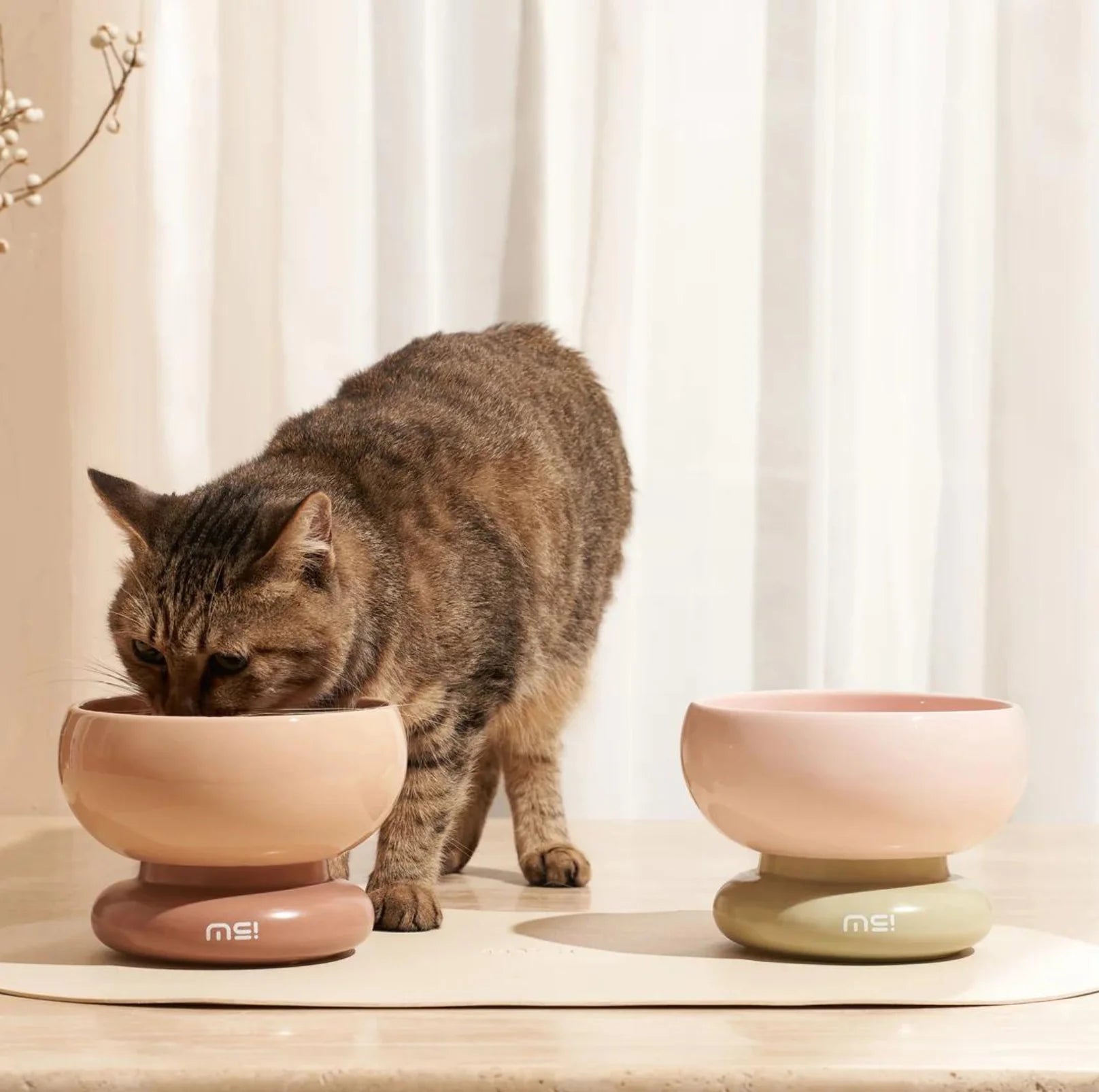 Makesure Calorie Pet Feeding Bowl