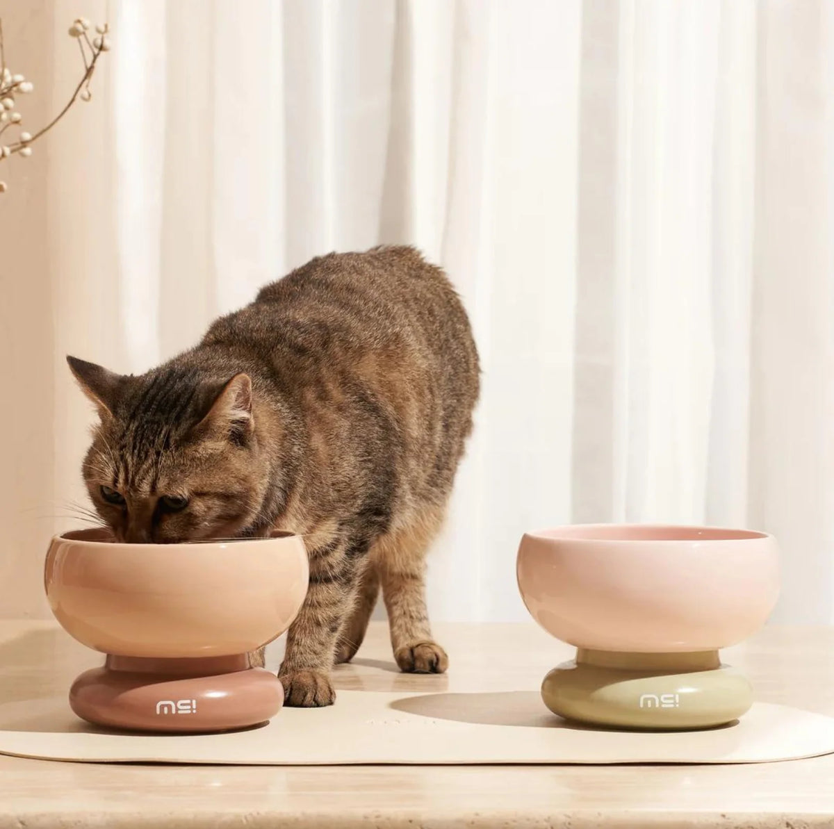 Makesure Calorie Pet Feeding Bowl