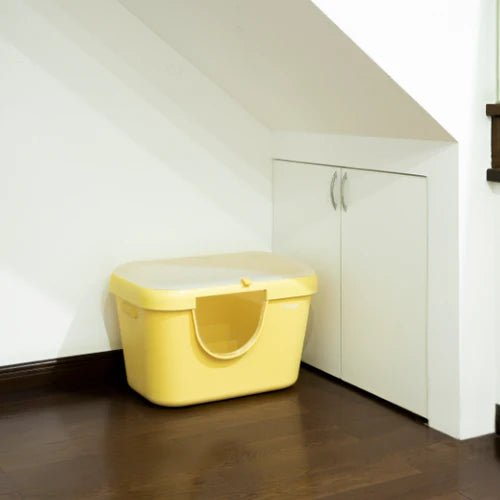 Mango Cat Litter Box Lid - Chokyo Pet