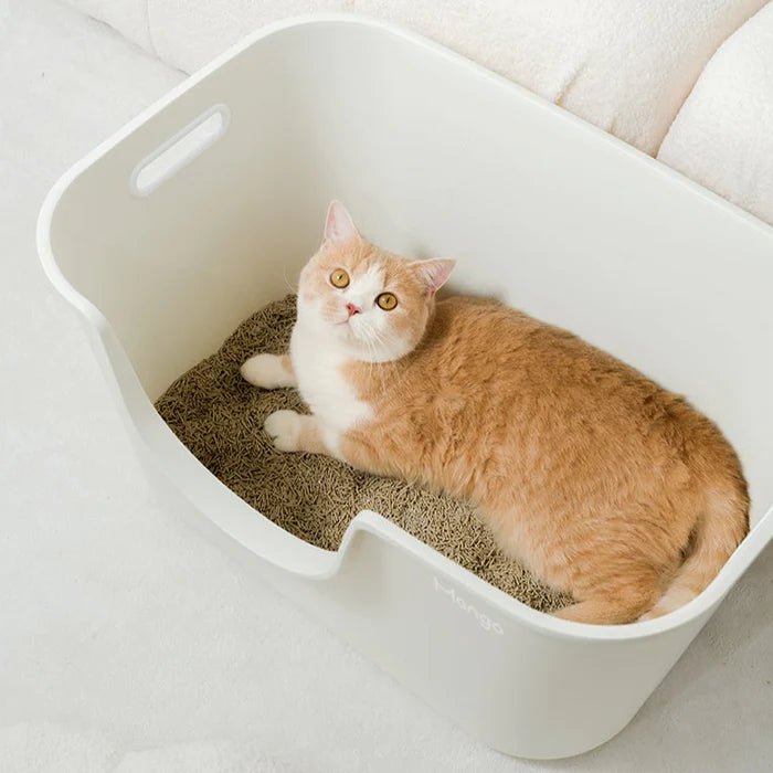 MANGO Extra Size High Edge Ultra-light Weight Cat Litter Box For Large Cat - Chokyo Pet