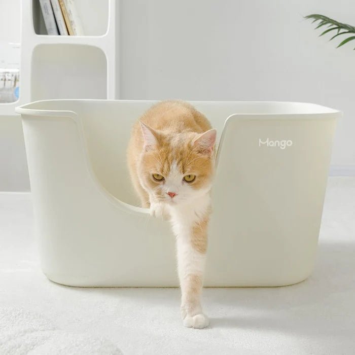 MANGO Extra Size High Edge Ultra-light Weight Cat Litter Box For Large Cat - Chokyo Pet