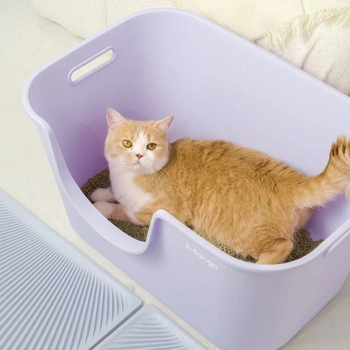 MANGO Extra Size High Edge Ultra-light Weight Cat Litter Box For Large Cat - Chokyo Pet