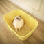 MANGO Extra Size High Edge Ultra-light Weight Cat Litter Box For Large Cat - Chokyo Pet