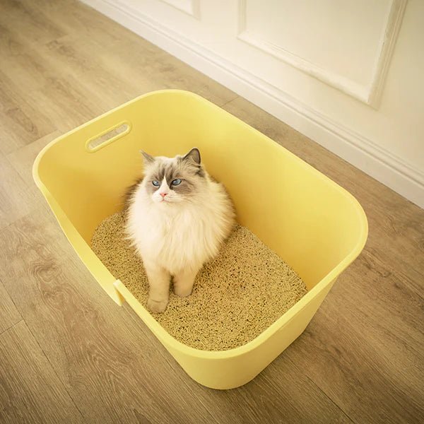 MANGO Extra Size High Edge Ultra-light Weight Cat Litter Box For Large Cat - Chokyo Pet