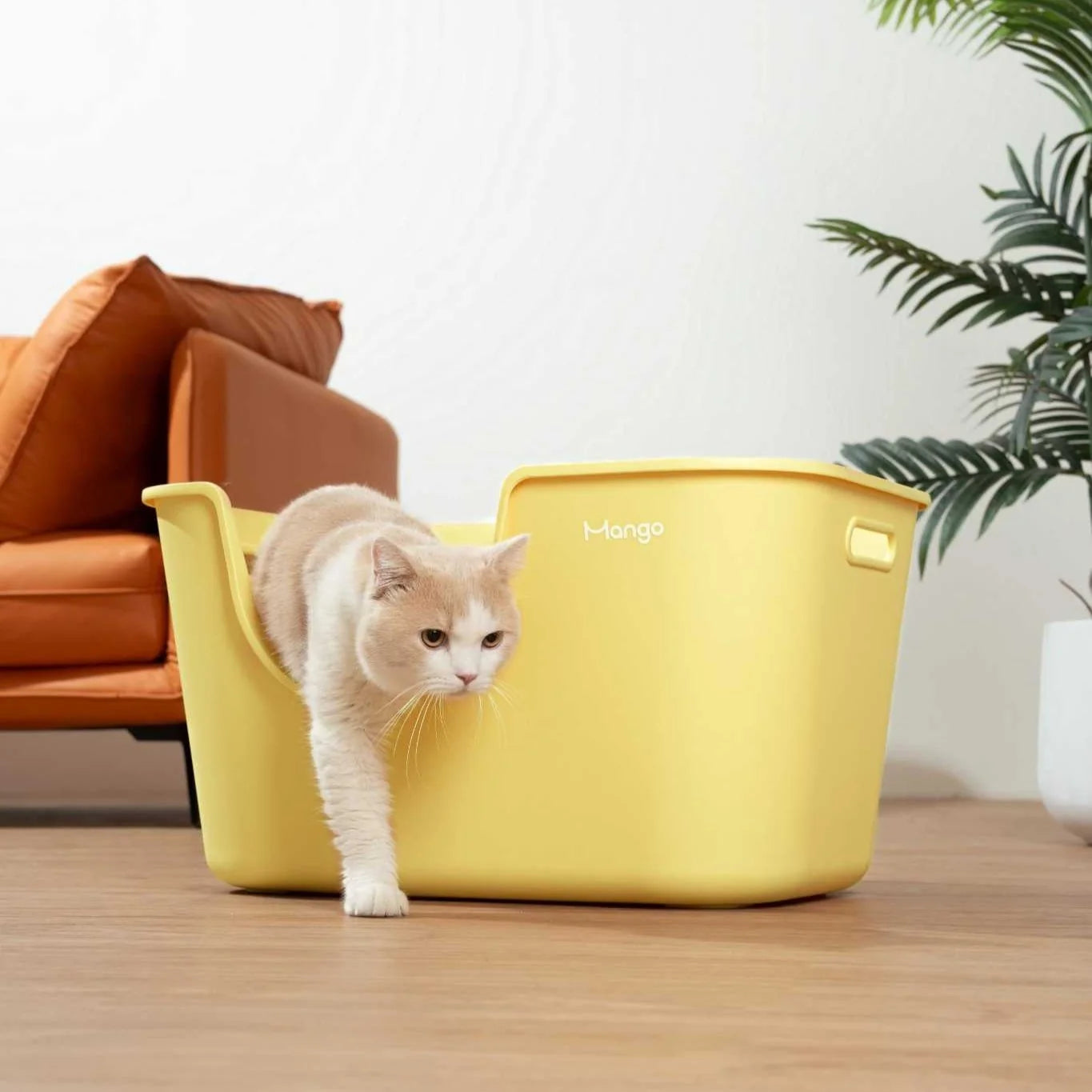 Mango Butter XL Litter Box (Bonus Scoop)