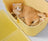 Mango Butter XL Litter Box (Bonus Scoop)