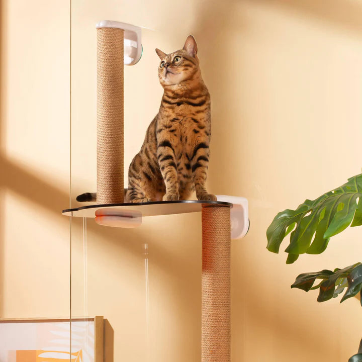 MAYITWILL Mounted Window Cat Tree With Scratchpost, Dangling Toy and Window Perch