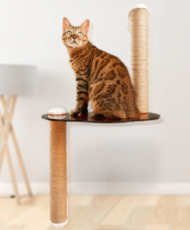 MAYITWILL Mounted Window Cat Tree With Scratchpost, Dangling Toy and Window Perch