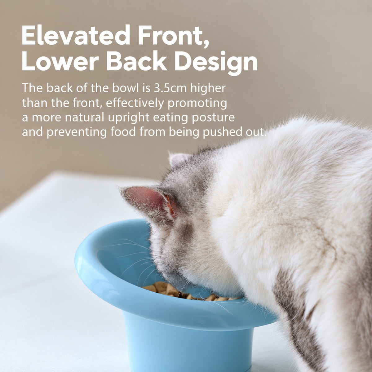 Meoof Fafa Ceramic Pet Bowl