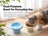 Meoof Fafa Ceramic Pet Bowl