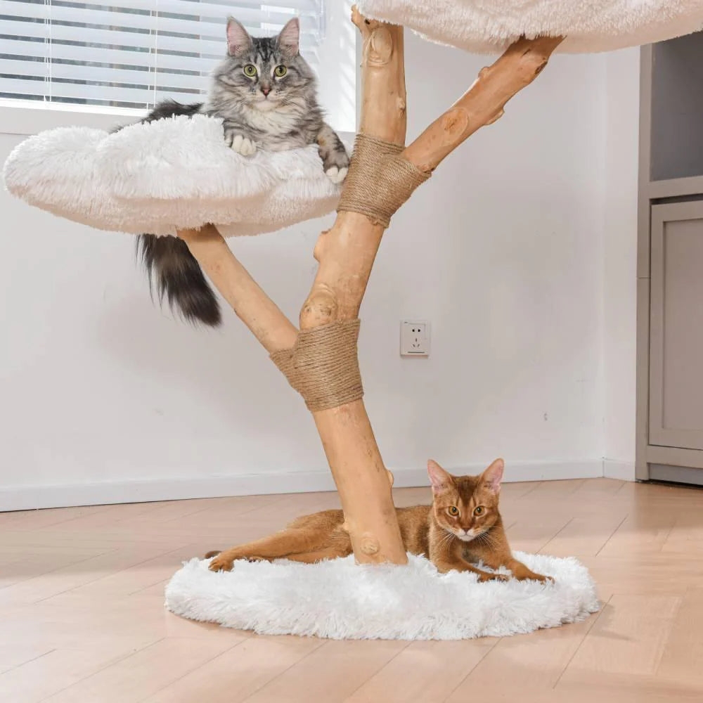 Michu Fluffy Blossom Real Wood Cat Tree ChokyoPetStore