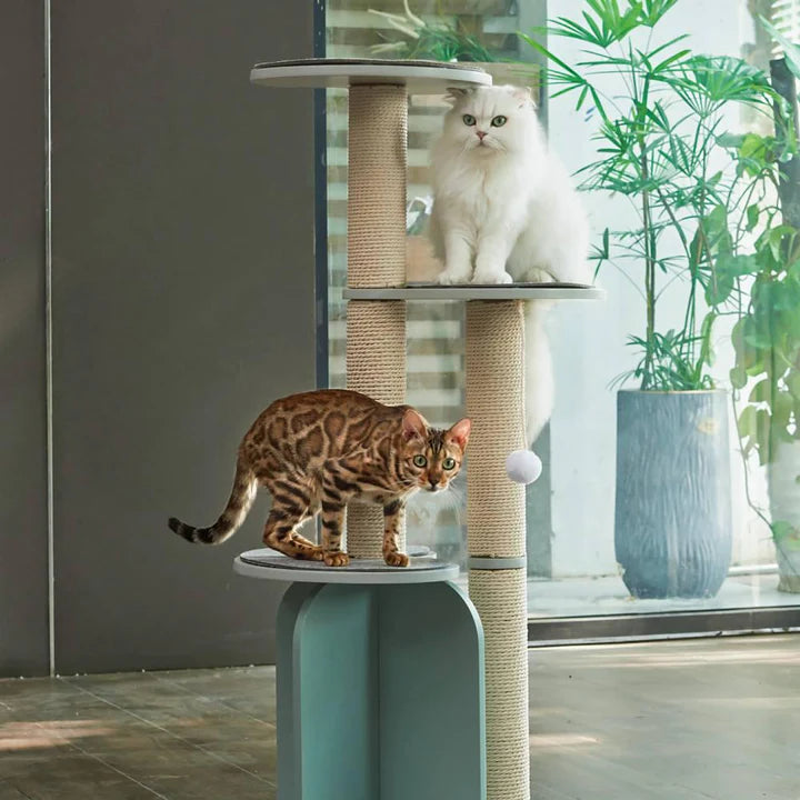 Michu Vigour Party Cat Tree, Modern Lifestyle Cat Furniture, 105cm Height。 Arrive within 3 weeks