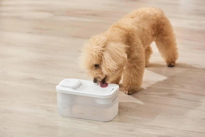 Michu Cordless & Rechargeable Battery Operated Automatic Pet Water Fountain, Wireless and USB Charging