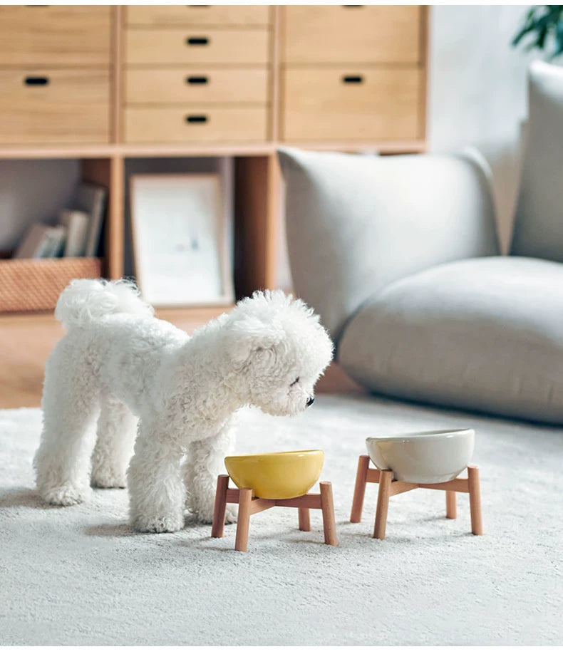 MUJI Stoneware Pet Bowl – Medium