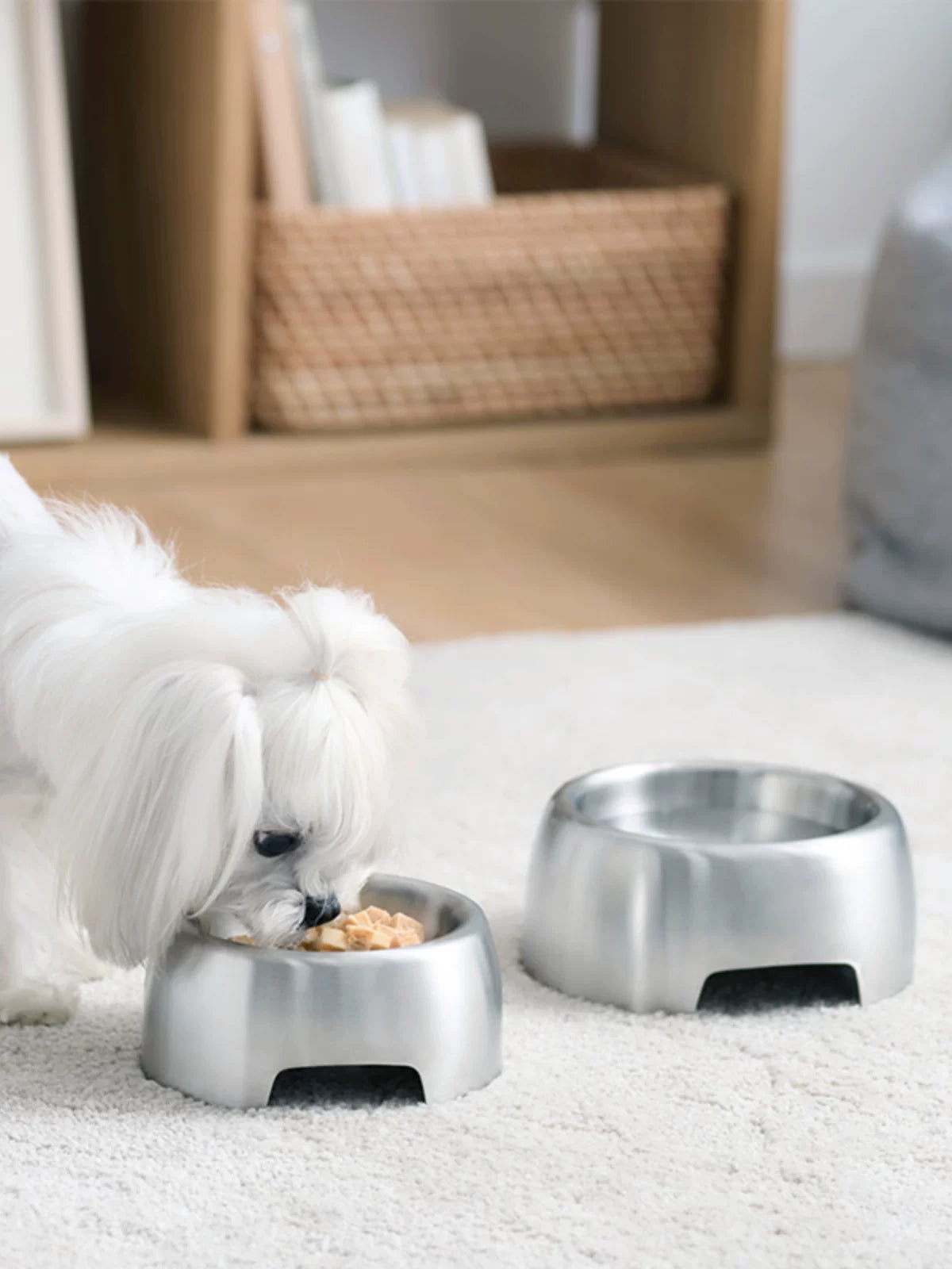 MUJI Stainless Steel Pet Bowl - Medium