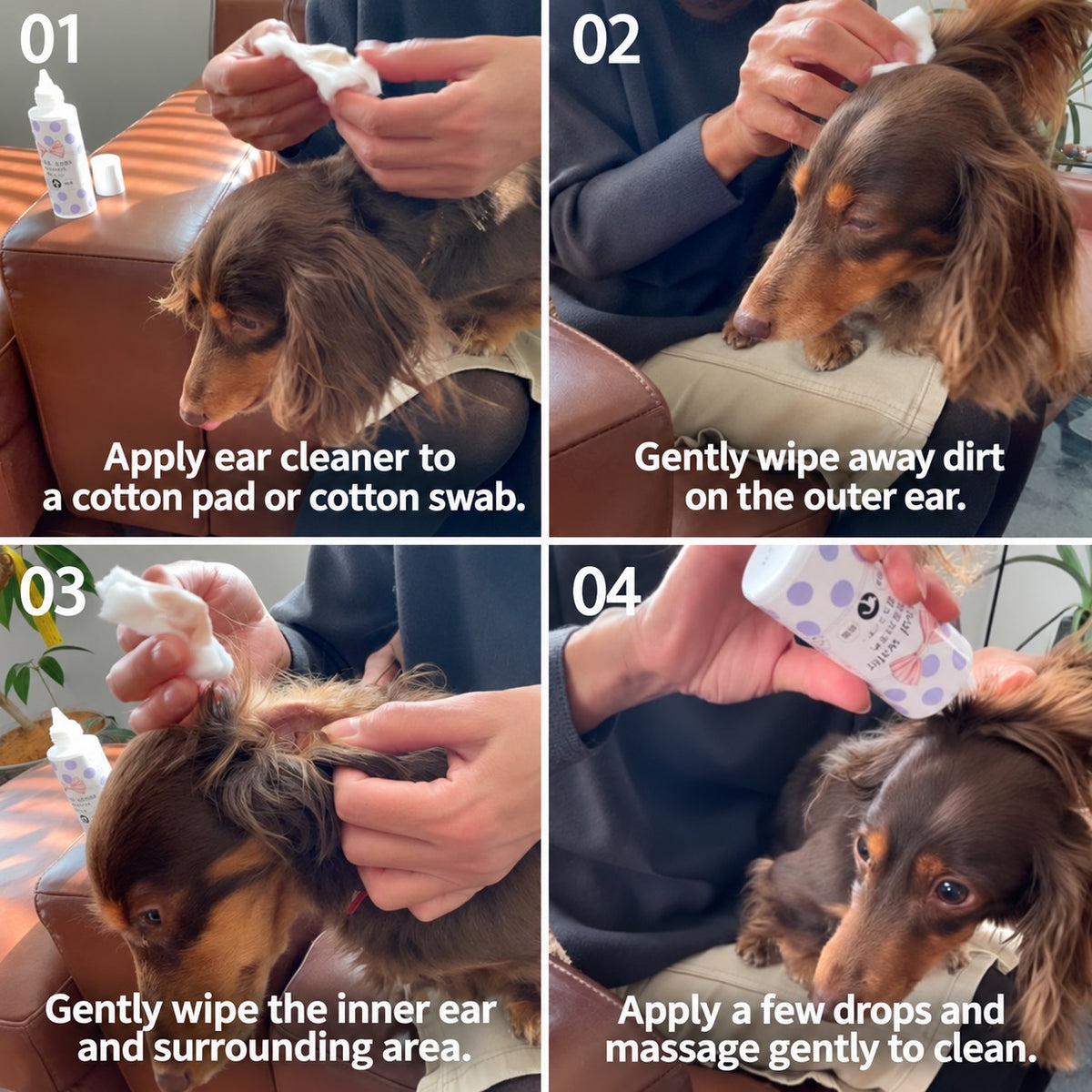 ORP Pets Revival Water Anti-Inflammatory Ear Cleaner
