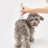 Petkit 2 in 1 Electric Pet Waterproof Hair Trimmer - Chokyo Pet