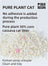 Pink Wish 100% Plant-Based Cat Litter 2.5kg - Chokyo Pet