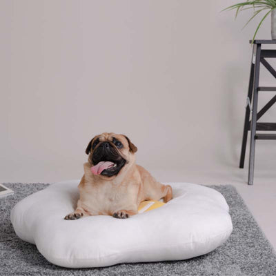 PURLAB Fried Egg Pet Bed