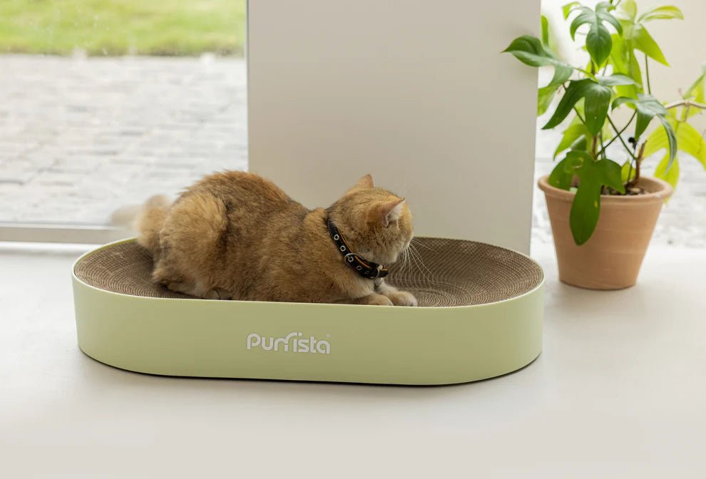 Purrista Cat Scratching Board - Chokyo Pet