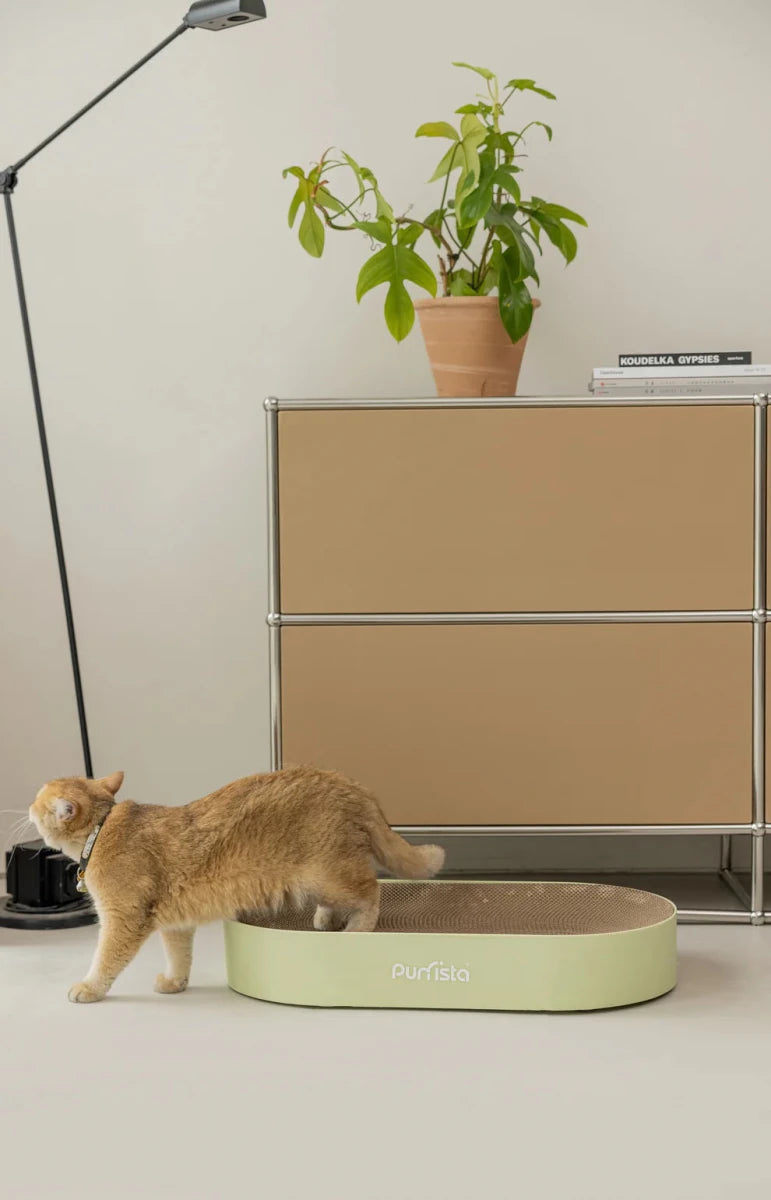 Purrista Cat Scratching Board - Chokyo Pet