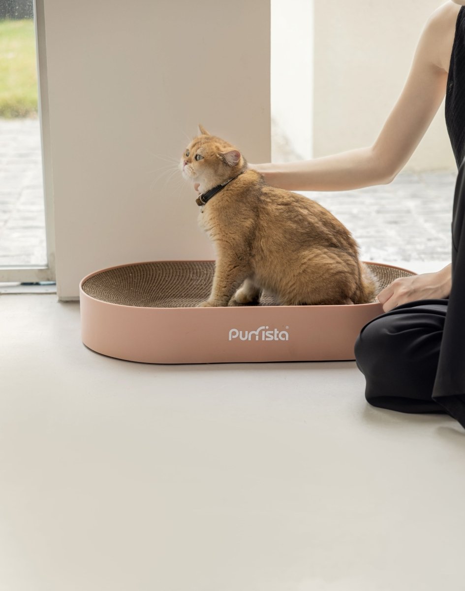 Purrista Cat Scratching Board - Chokyo Pet