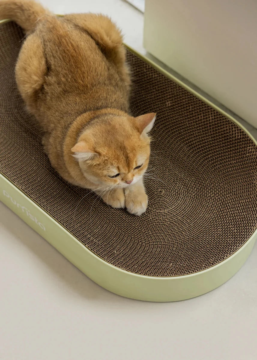 Purrista Cat Scratching Board - Chokyo Pet