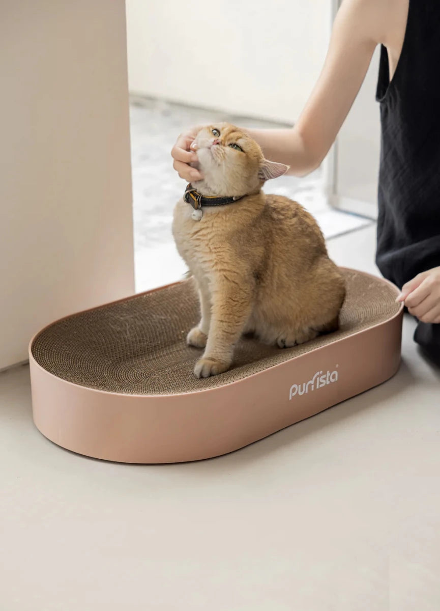 Purrista Cat Scratching Board - Chokyo Pet