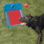 Rosewood Dog Agility Flyball - Chokyo Pet