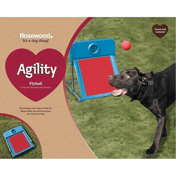 Rosewood Dog Agility Flyball - Chokyo Pet