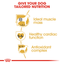 Royal Canin Boxer Adult Dog Food