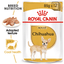 Royal Canin Chihuahua Adult Wet Dog Food Pouches