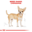 Royal Canin Chihuahua Adult Wet Dog Food Pouches
