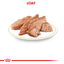 Royal Canin Chihuahua Adult Wet Dog Food Pouches