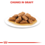Royal Canin Medium Adult Wet Dog Food Pouches