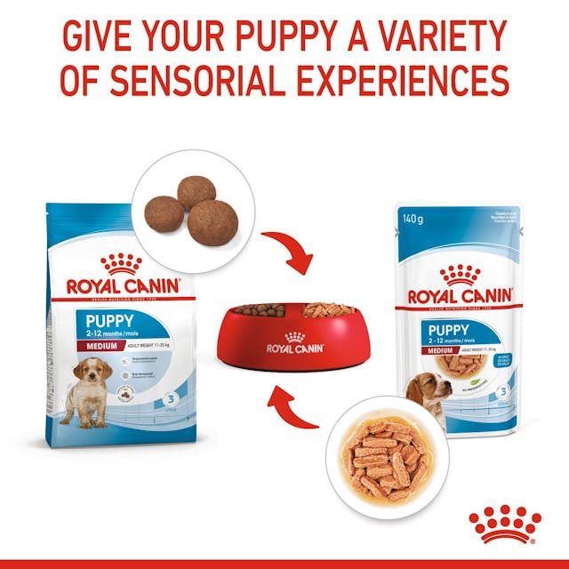 Royal Canin Medium Puppy Chunks in Gravy 140g - Chokyo Pet