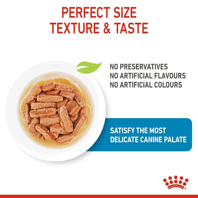 Royal Canin Medium Puppy Chunks in Gravy 140g - Chokyo Pet