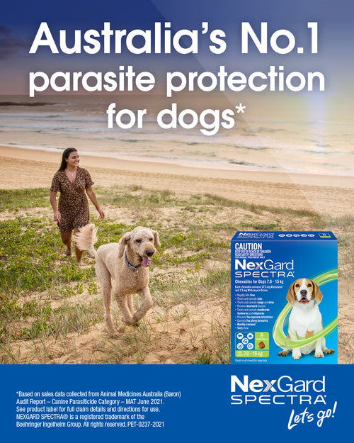 NexGard Spectra For Medium Dogs 7.6 15kg Green ChokyoPetStore